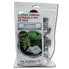 envase de 20 unidades